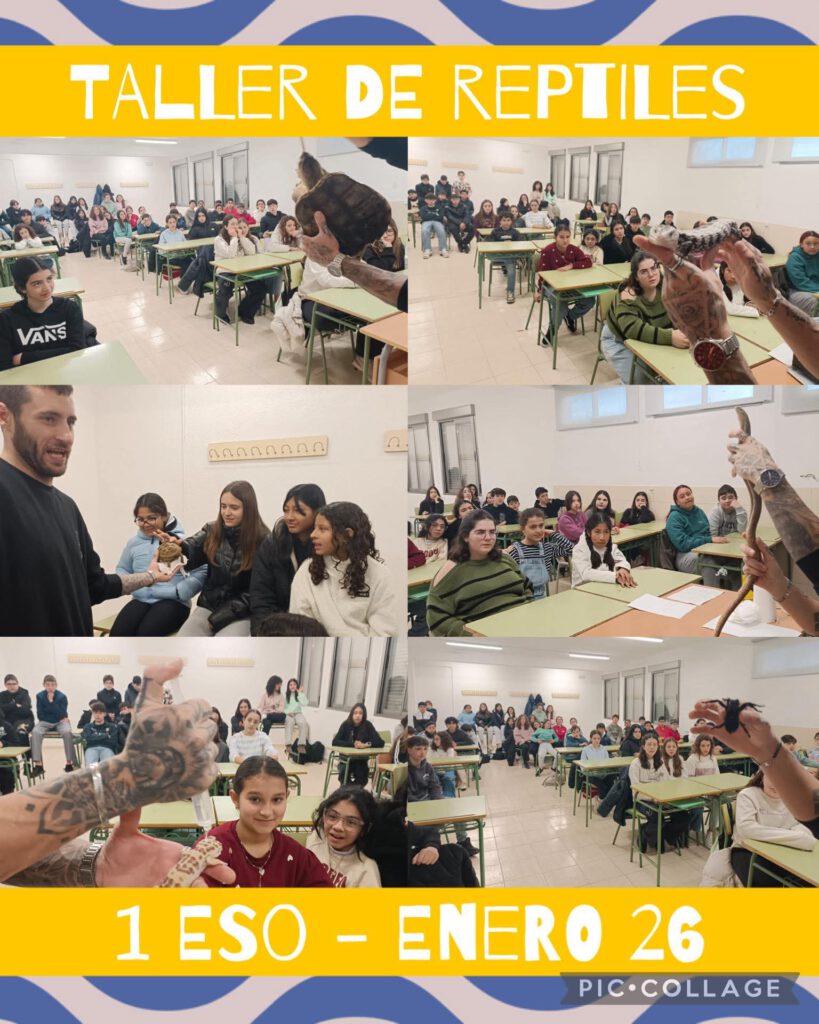 Taller de reptiles. Curso 2025-26